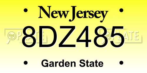 8DZ485 New Jersey License Plate