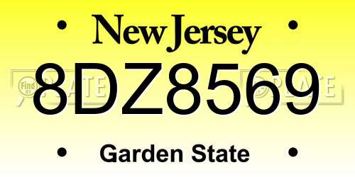 8DZ8569 New Jersey License Plate