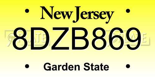 8DZB869 New Jersey License Plate