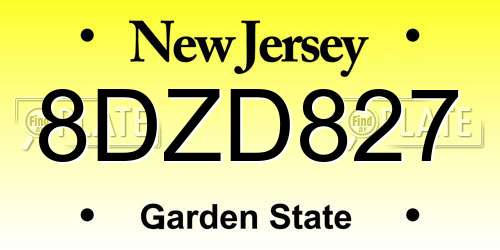 8DZD827 New Jersey License Plate