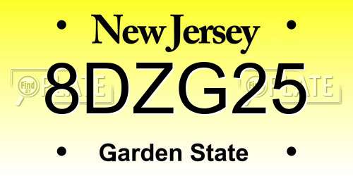 8DZG25 New Jersey License Plate