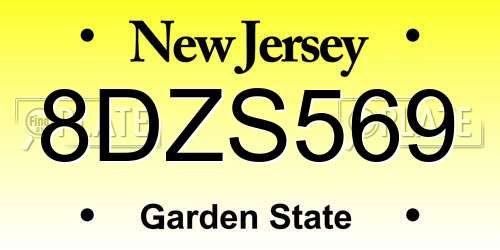 8DZS569 New Jersey License Plate