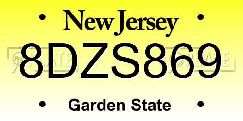 8DZS869 New Jersey License Plate