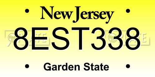 8EST338 New Jersey License Plate