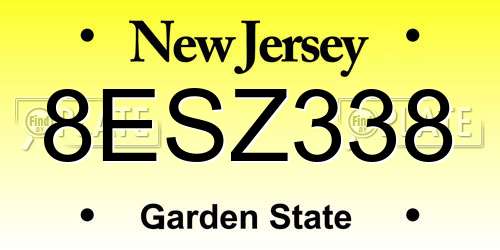 8ESZ338 New Jersey License Plate
