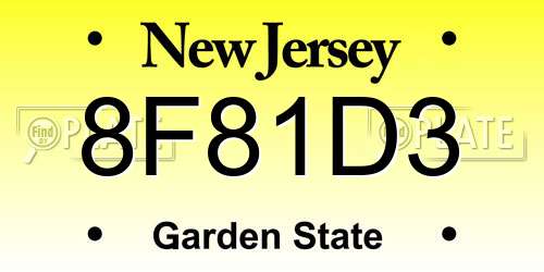 8F81D3 New Jersey License Plate