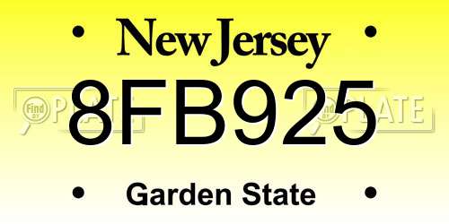 8FB925 New Jersey License Plate