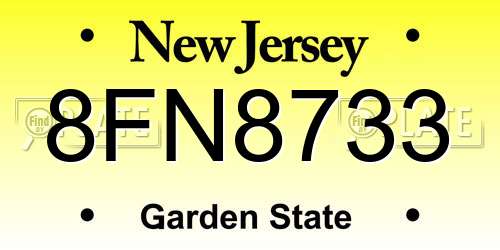 8FN8733 New Jersey License Plate