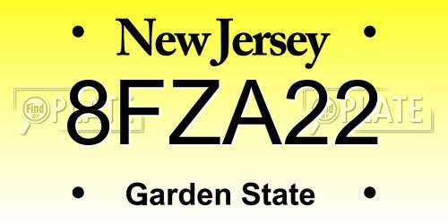 8FZA22 New Jersey License Plate