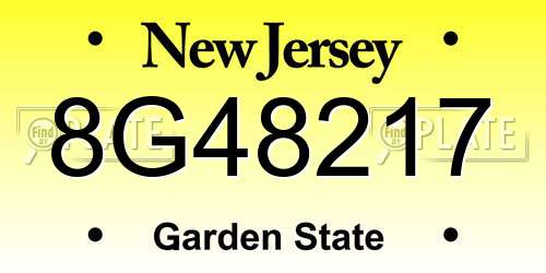 8G48217 New Jersey License Plate