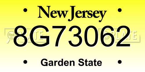 8G73062 New Jersey License Plate