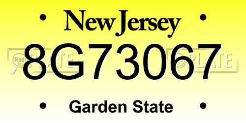 8G73067 New Jersey License Plate