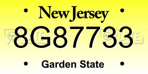 8G87733 New Jersey License Plate