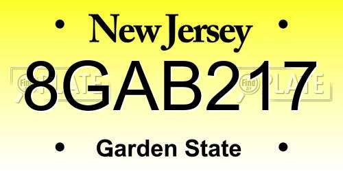 8GAB217 New Jersey License Plate