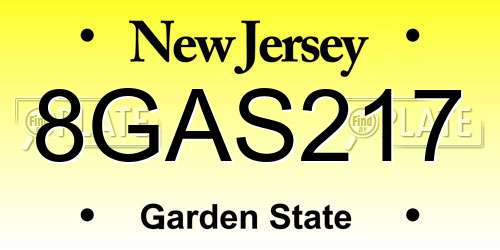 8GAS217 New Jersey License Plate
