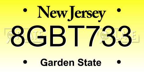 8GBT733 New Jersey License Plate