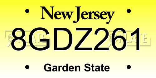 8GDZ261 New Jersey License Plate