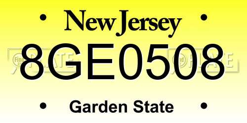 8GE0508 New Jersey License Plate