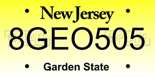 8GEO505 New Jersey License Plate