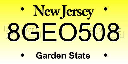 8GEO508 New Jersey License Plate