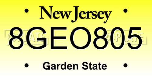 8GEO805 New Jersey License Plate
