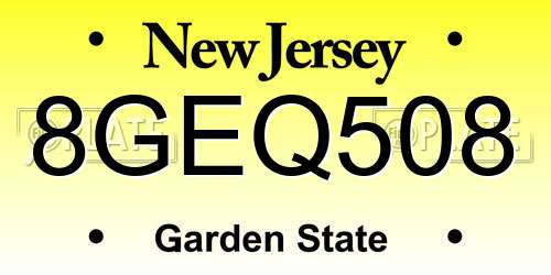 8GEQ508 New Jersey License Plate