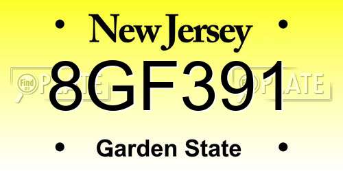 8GF391 New Jersey License Plate