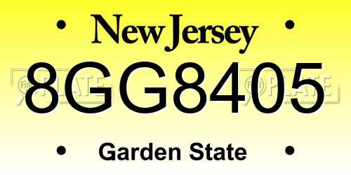 8GG8405 New Jersey License Plate