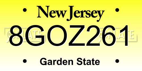 8GOZ261 New Jersey License Plate