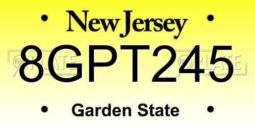 8GPT245 New Jersey License Plate