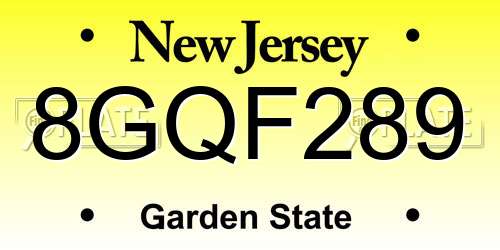8GQF289 New Jersey License Plate