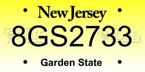 8GS2733 New Jersey License Plate