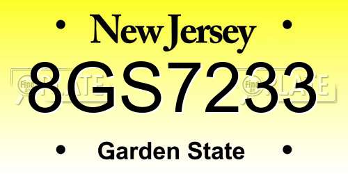 8GS7233 New Jersey License Plate