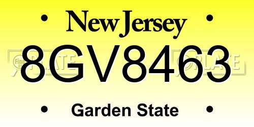 8GV8463 New Jersey License Plate