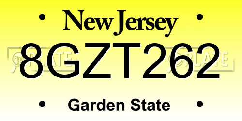 8GZT262 New Jersey License Plate
