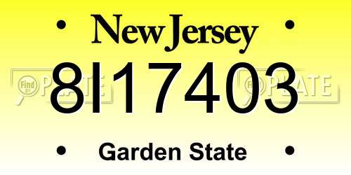8I17403 New Jersey License Plate
