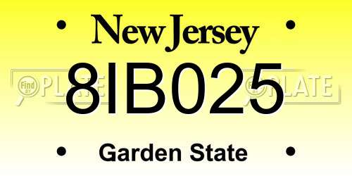 8IB025 New Jersey License Plate