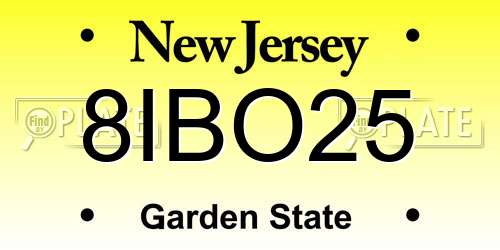 8IBO25 New Jersey License Plate