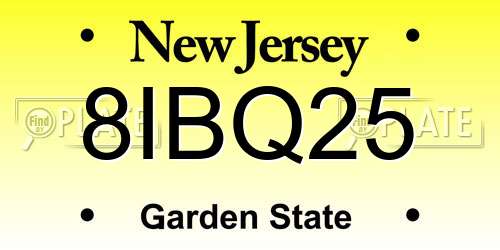 8IBQ25 New Jersey License Plate