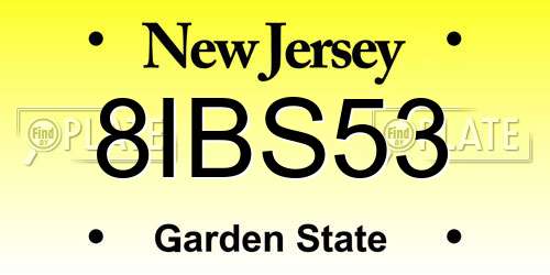8IBS53 New Jersey License Plate