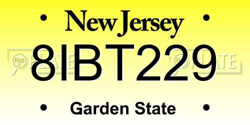 8IBT229 New Jersey License Plate