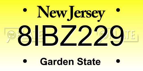 8IBZ229 New Jersey License Plate