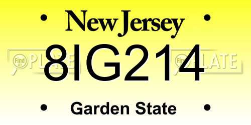 8IG214 New Jersey License Plate