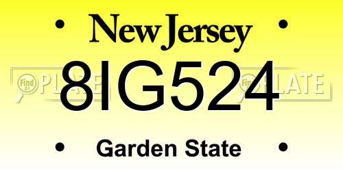 8IG524 New Jersey License Plate