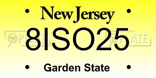 8ISO25 New Jersey License Plate