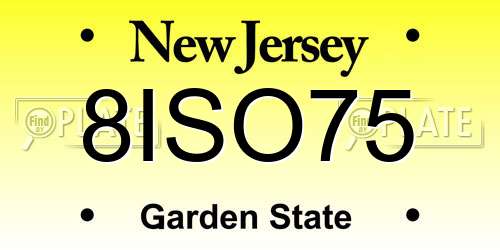 8ISO75 New Jersey License Plate