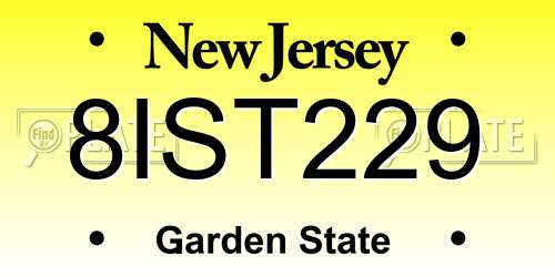 8IST229 New Jersey License Plate