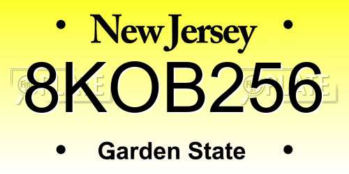 8KOB256 New Jersey License Plate