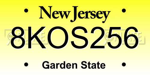 8KOS256 New Jersey License Plate