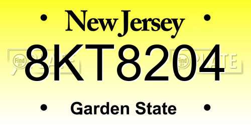 8KT8204 New Jersey License Plate